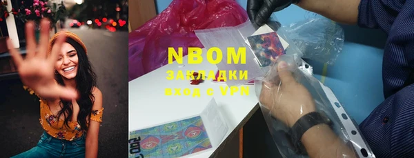 МДПВ Ельня