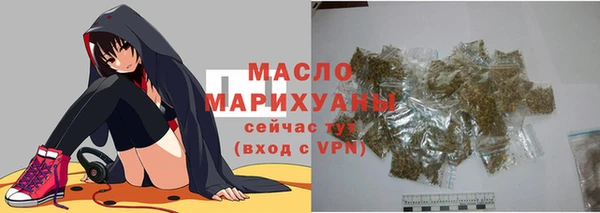 МДПВ Ельня