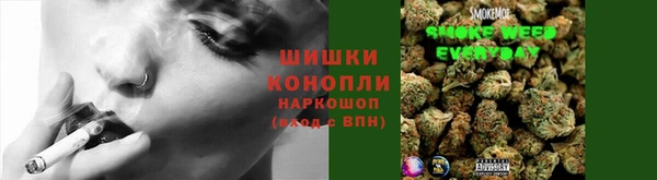 МДПВ Ельня
