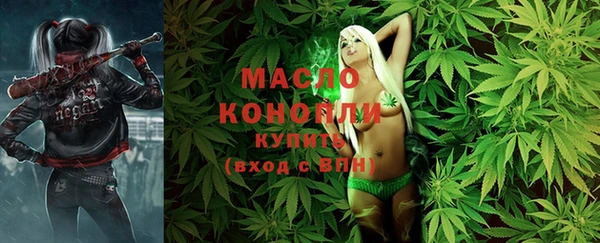 МДПВ Ельня