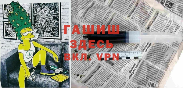 МДПВ Ельня