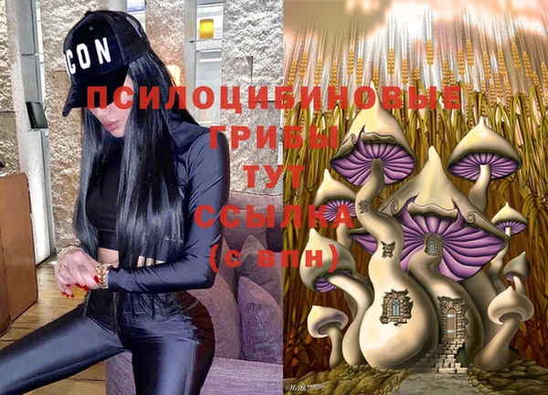МДПВ Ельня